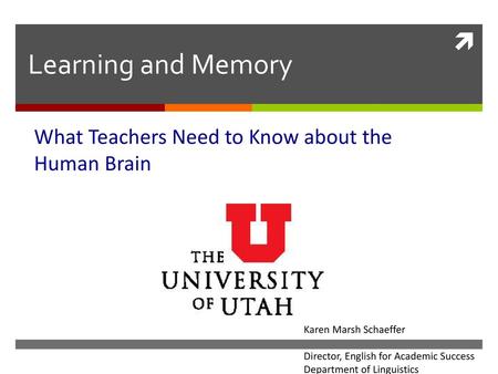 What Teachers Need to Know about the Human Brain