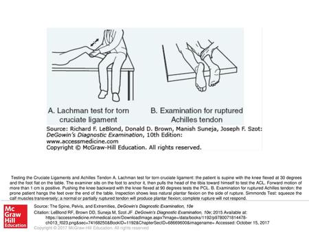 Testing the Cruciate Ligaments and Achilles Tendon A