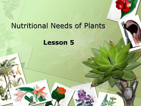 Nutritional Needs of Plants