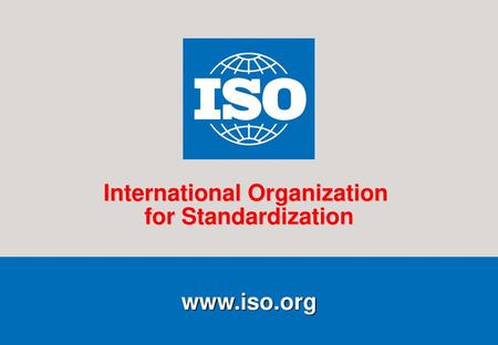 International Organization