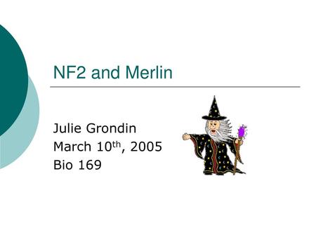 Julie Grondin March 10th, 2005 Bio 169