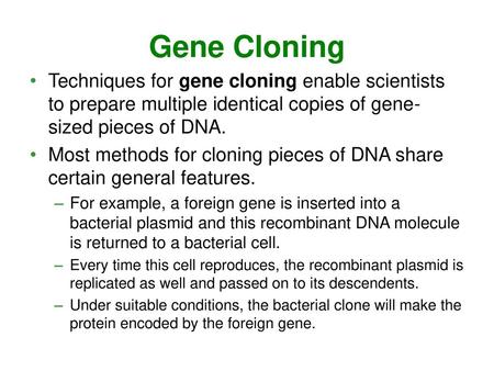 Gene Cloning Techniques for gene cloning enable scientists to prepare multiple identical copies of gene-sized pieces of DNA. Most methods for cloning pieces.