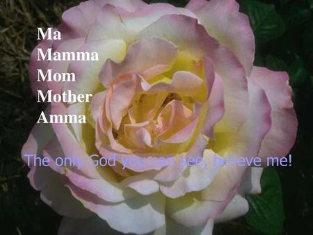 Ma Mamma Mom Mother Amma The only God you can see, believe me!