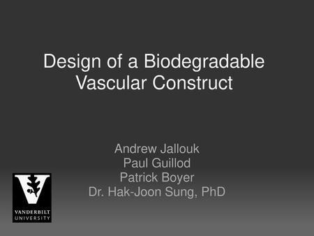 Design of a Biodegradable Vascular Construct