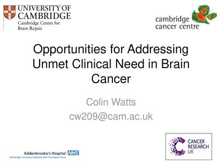 Opportunities for Addressing Unmet Clinical Need in Brain Cancer