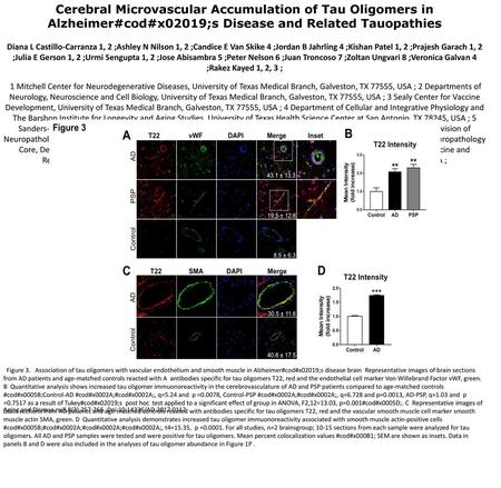 Cerebral Microvascular Accumulation of Tau Oligomers in Alzheimer#cod#x02019;s Disease and Related Tauopathies Diana L Castillo-Carranza 1, 2 ;Ashley N.