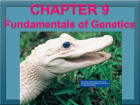 Fundamentals of Genetics