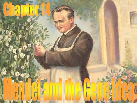 Mendel and the Gene Idea