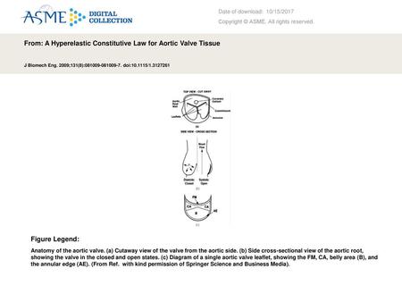 From: A Hyperelastic Constitutive Law for Aortic Valve Tissue