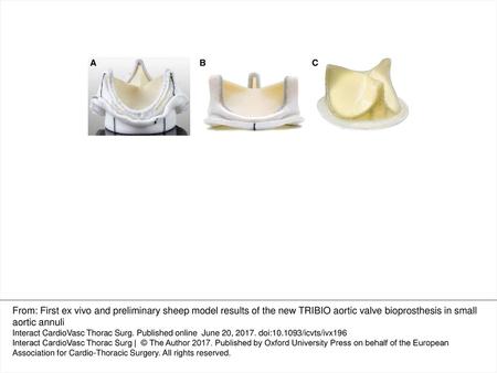 Figure 1: Different aortic bioprostheses