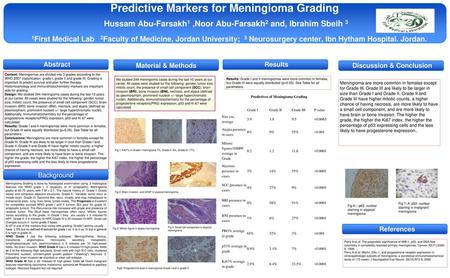 Discussion & Conclusion Predictives of Meningioma Grading