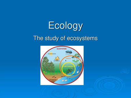 The study of ecosystems