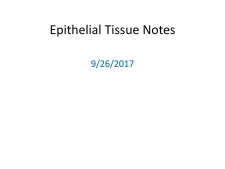 Epithelial Tissue Notes