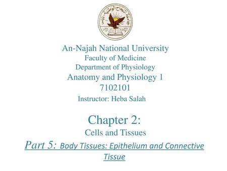 Chapter 2: Part 5: Body Tissues: Epithelium and Connective Tissue