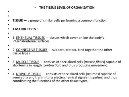 THE TISSUE LEVEL OF ORGANIZATION