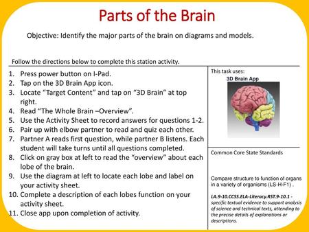 Parts of the Brain Objective: Identify the major parts of the brain on diagrams and models. Press power button on I-Pad. Tap on the 3D Brain App icon.