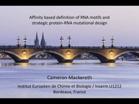 Cameron Mackereth Affinity based definition of RNA motifs and