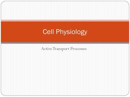 Active Transport Processes