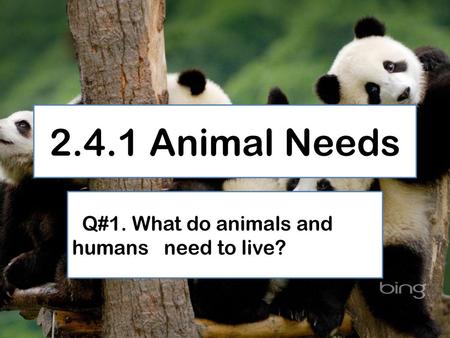 Q#1. What do animals and humans need to live?