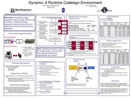 Dynamo: A Runtime Codesign Environment