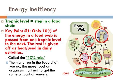 Energy Ineffiency Trophic level = step in a food chain