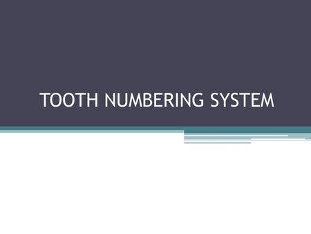 TOOTH NUMBERING SYSTEM