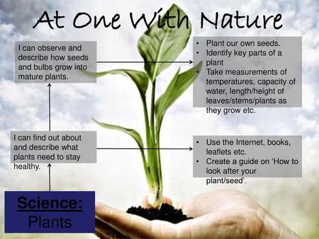 At One With Nature Science: Plants Plant our own seeds.