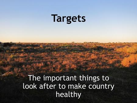 Targets The important things to look after to make country healthy