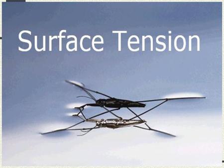 Surface Tension The surface of any liquid behaves as if it was a stretched membrane. This phenomenon is known as surface tension Surface tension is caused.