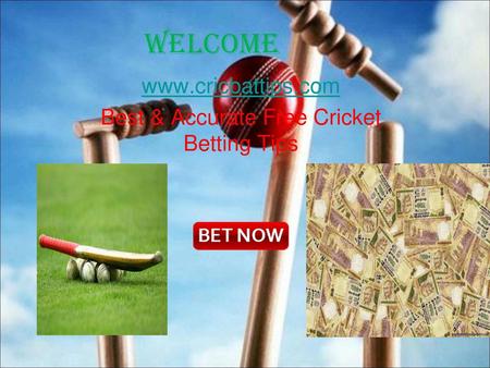 Best & Accurate Free Cricket Betting Tips