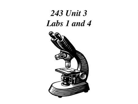 243 Unit 3 Labs 1 and 4.