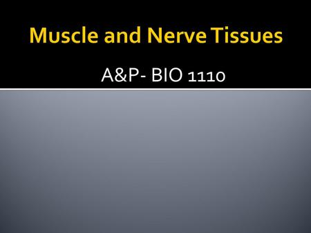 Muscle and Nerve Tissues