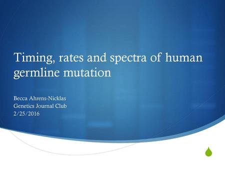 Timing, rates and spectra of human germline mutation