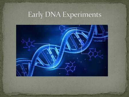 Early DNA Experiments.