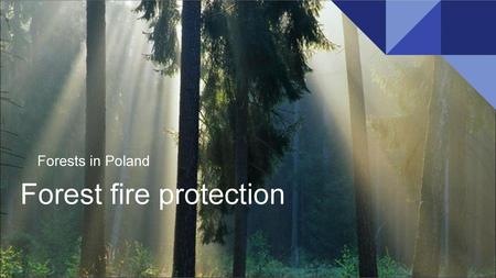 Forest fire protection