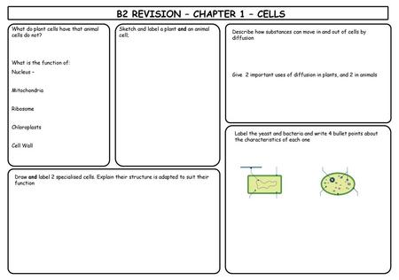 B2 REVISION – CHAPTER 1 – CELLS