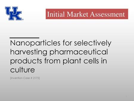 Initial Market Assessment