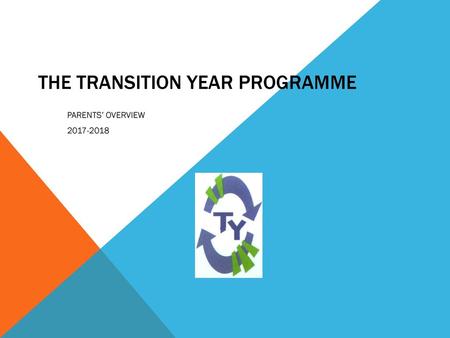 THE TRANSITION YEAR PROGRAMME