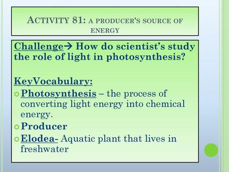 Activity 81: a producer’s source of energy