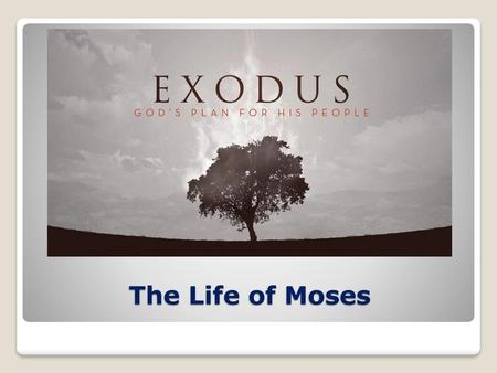 The Life of Moses.