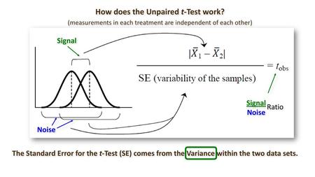 How does the Unpaired t-Test work?