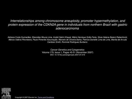 Interrelationships among chromosome aneuploidy, promoter hypermethylation, and protein expression of the CDKN2A gene in individuals from northern Brazil.