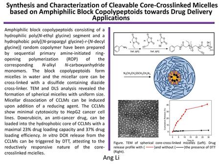 Synthesis and Characterization of Cleavable Core-Crosslinked Micelles based on Amphiphilic Block Copolypeptoids towards Drug Delivery Applications Amphiphilic.