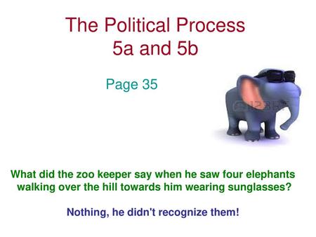 The Political Process 5a and 5b