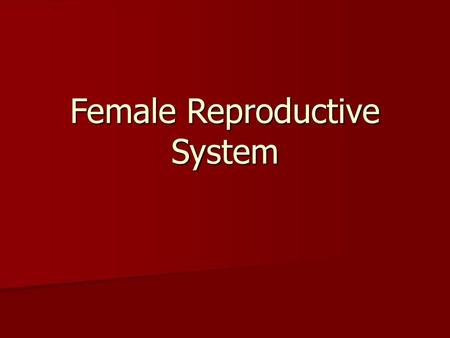 Female Reproductive System