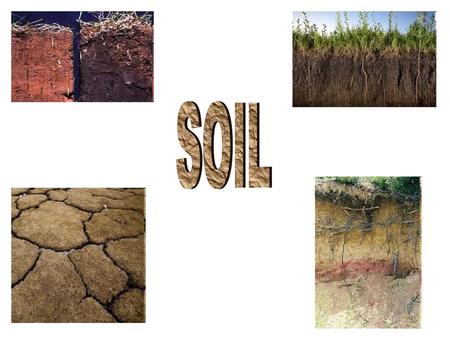 SOIL.