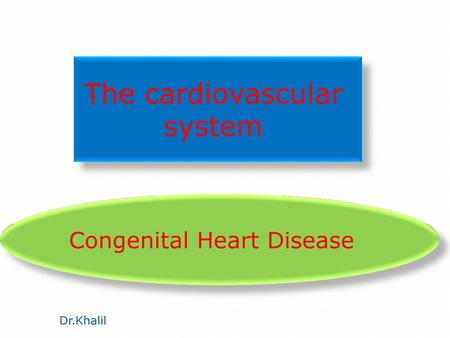 The cardiovascular system