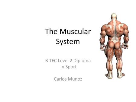 B TEC Level 2 Diploma in Sport Carlos Munoz