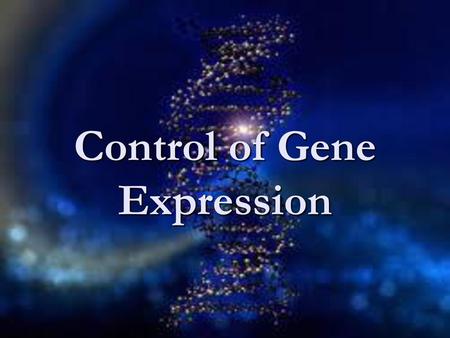 Control of Gene Expression