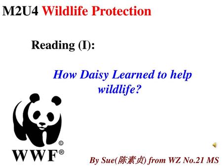 How Daisy Learned to help wildlife?